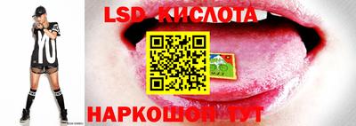 MDMA Premium VHQ Донецк