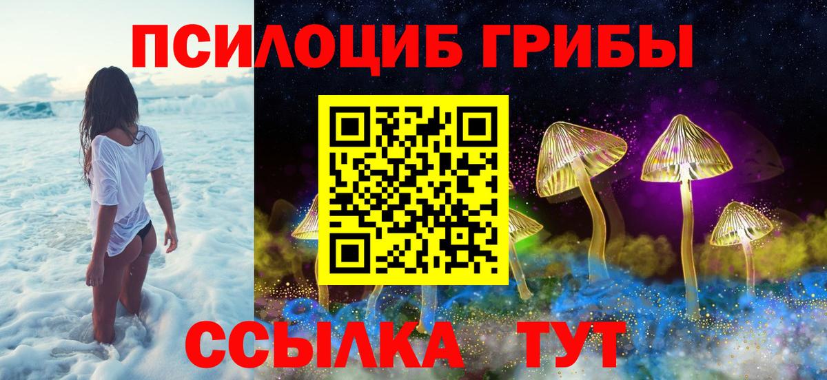 Псилоцибиновые грибы ЛСД  Вход с VPN  наркота  Нефтекумск 