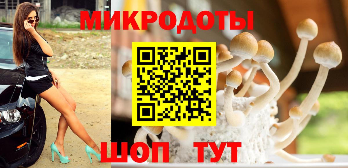 Псилоцибиновые грибы ЛСД Нефтекумск